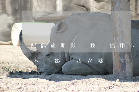 配偶逾期影響我開信用卡嗎(我信用卡逾期會不會影響我老婆)