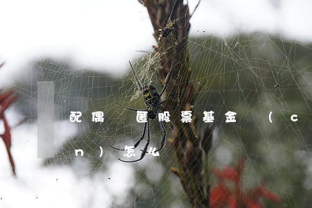 配偶隱匿股票基金財(cái)產(chǎn)怎么辦