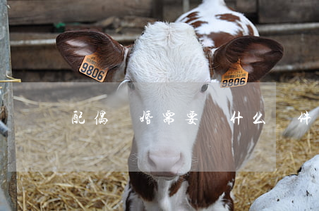 配偶離婚需要帶什么證件(離婚攜帶的證件)