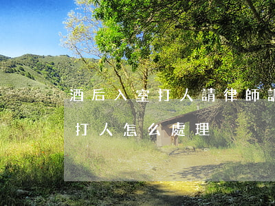 酒后入室打人請律師調解要多少錢(酒后入室打人怎么處理)