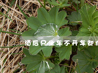 酒后只坐车不开车，却仍被判刑！咋回事？