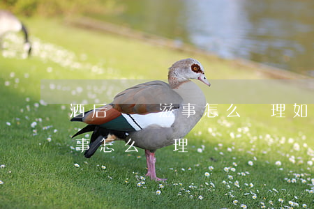 酒后尋釁滋事怎么處理(如果有人酒后尋釁滋事怎么處理)
