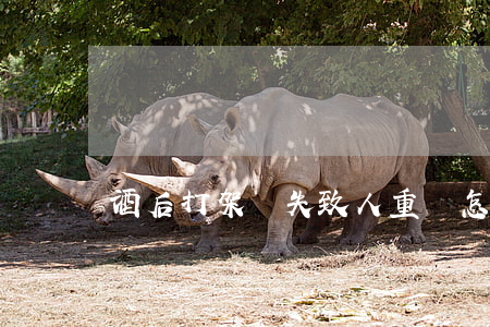 酒后打架過失致人重傷怎么判