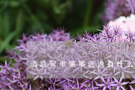 酒后駕車肇事逃逸有什么處罰