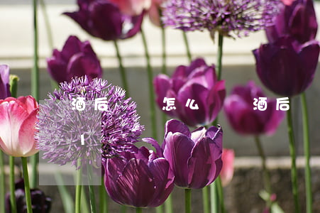 酒后駕駛怎么處罰(酒后駕駛怎么處罰2021)