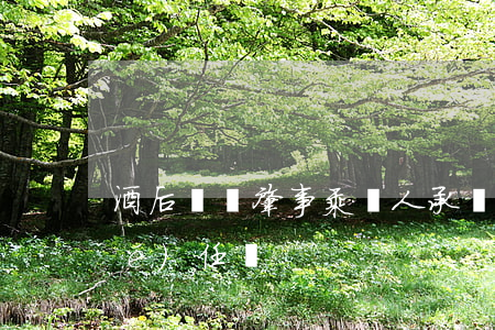酒后駕駛肇事乘車人承擔(dān)責(zé)任嗎