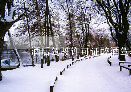 酒后驾驶许可证(醉酒驾驶证)