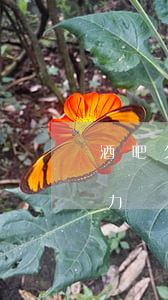 酒吧欠款怎么辦（酒吧欠設(shè)備款無力償還）