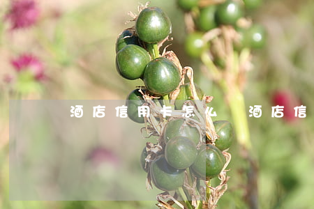 酒店信用卡怎么辦(酒店信用卡怎么辦的)