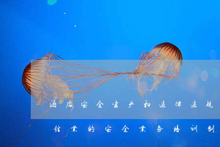 酒店安全生产和法律法规培训(如何理解旅馆业的安全业务培训制度)