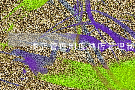 酒店管理制度(酒店管理制度員工守則)