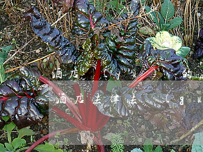 酒店預(yù)訂的法律法規(guī)(酒店法律法規(guī)規(guī)定)