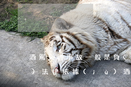 酒駕交通事故一般是負(fù)全責(zé)法律依據(jù)(酒后駕車事故負(fù)全責(zé)嗎)