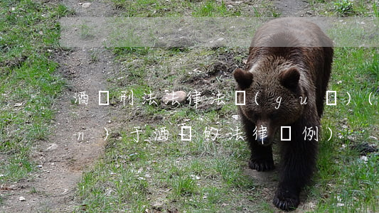 酒駕刑法法律法規(guī)(關(guān)于酒駕的法律條例)