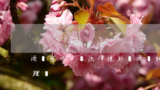 酒駕可以申請法律援助嗎(酒駕能找人幫忙處理嗎)