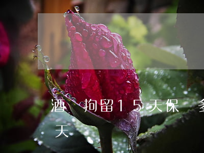 酒駕拘留15天保釋多少錢(酒駕被拘留45天)