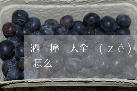 酒駕撞傷人全責(zé)沒(méi)錢賠怎么辦