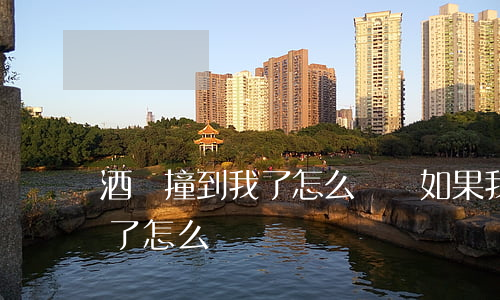 酒駕撞到我了怎么賠償(如果我酒駕被別人撞了怎么辦)
