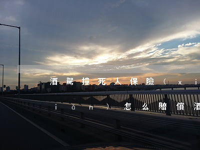 酒駕撞死人保險(xiǎn)買的全險(xiǎn)怎么賠償(酒駕撞了人保險(xiǎn)公司賠嗎)