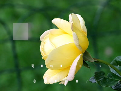 酒駕的標(biāo)準(zhǔn)(吹氣查酒駕的標(biāo)準(zhǔn))