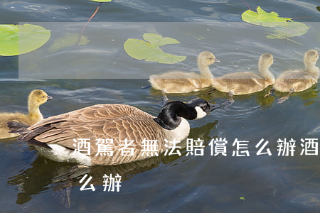 酒駕者無法賠償怎么辦(酒駕肇事沒錢賠償怎么辦)