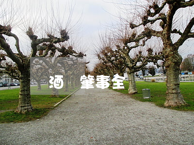 酒駕肇事全責嗎