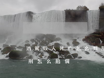 酒駕致人死亡怎么判刑(酒駕致人死亡怎么判刑怎么賠償)
