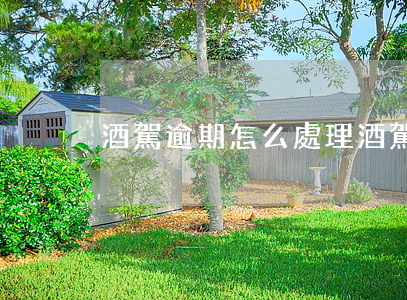 酒駕逾期怎么處理(酒駕逾期怎么處理)