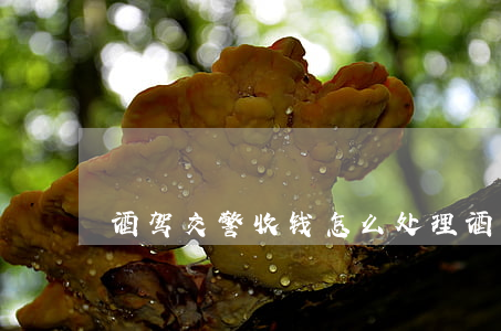 酒驾交警收钱怎么处理(酒驾花多少钱能处理)