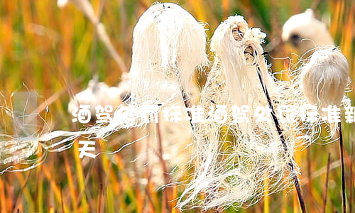 酒驾处罚标准(酒驾处罚标准 新交规要拘留几天)