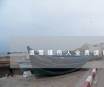 酒驾撞伤人全责没钱赔怎么办