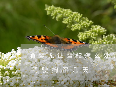 酒驾无证驾驶怎么处罚拘留多少天(酒驾无证驾驶拘留几天)