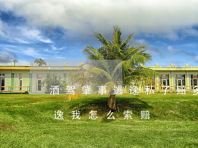 酒驾肇事逃逸私了赔多少钱(对方酒驾肇事逃逸我怎么索赔)