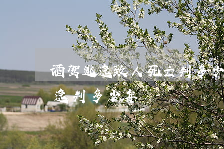 酒驾逃逸致人死亡判多少年(醉驾致人死亡逃逸判多少年)