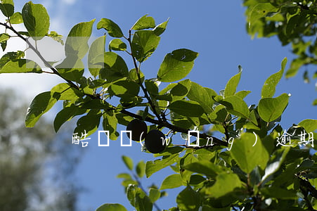 酷貸網(wǎng)逾期多久會墊付