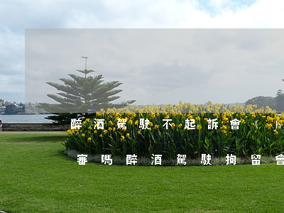 醉酒駕駛不起訴會(huì)影響孩子的政審嗎(醉酒駕駛拘留會(huì)影響孩子政審嗎)