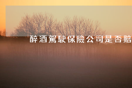 醉酒駕駛保險公司是否賠付