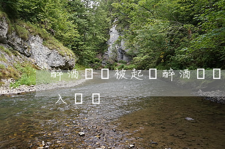 醉酒駕駛被起訴(醉酒駕駛被起訴會影響子女入黨嗎)