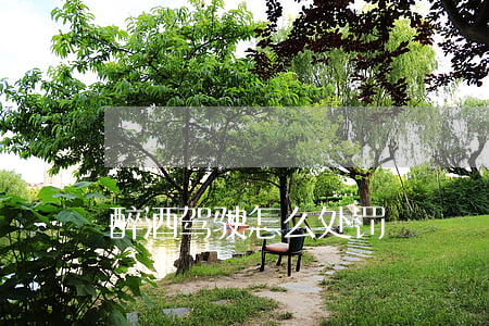 醉酒驾驶怎么处罚