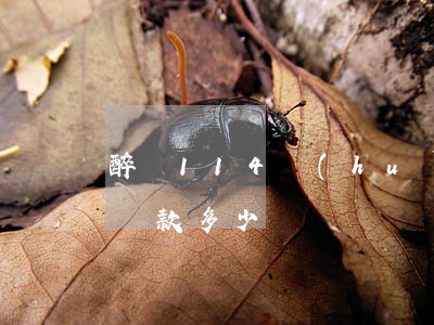 醉駕114會(huì)起訴嗎(醉駕114罰款多少)