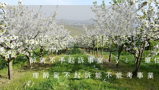 醉駕不予起訴事業(yè)單位人員如何處理(醉駕不起訴能不能考事業(yè)單位)