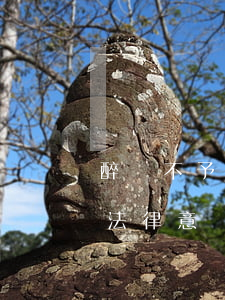 醉駕不予起訴申請書事實和理由(醉駕不起訴法律意見書)