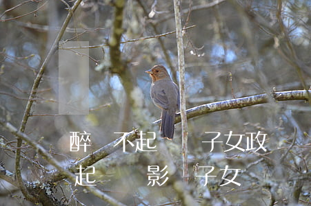 醉駕不起訴對子女政審會有影響嗎?(醉駕不予起訴會影響子女嗎?)
