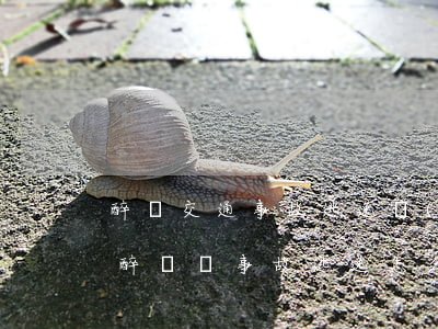 醉駕交通事故逃逸會(huì)怎么去判刑(醉駕無事故逃逸怎么判刑)