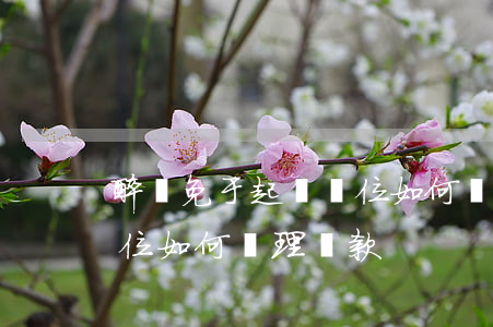 醉駕免于起訴單位如何處理(醉駕免于起訴單位如何處理 罰款)
