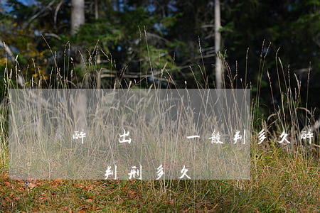 醉駕出車禍一般判多久(醉駕發(fā)生車禍判刑多久)