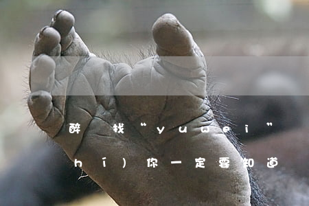 醉駕找“yuwei”沒用，這些冷知識(shí)你一定要知道