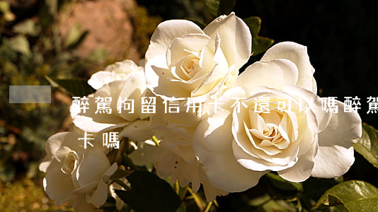 醉駕拘留信用卡不還可以嗎(醉駕可以辦信用卡嗎)