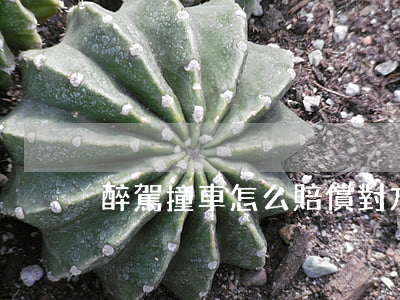 醉駕撞車怎么賠償對方(酒駕撞到人怎么賠償)