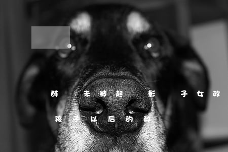 醉駕未被起訴影響子女政審嗎(醉駕拘留影響孩子以后的政審嗎)